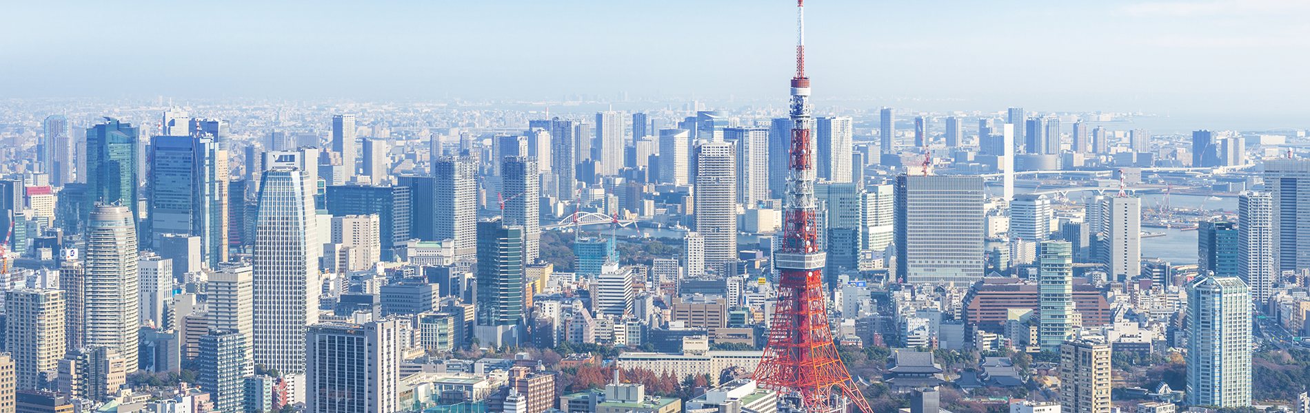 東京の都心と東京タワー(昼)